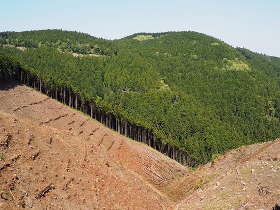 株式会社黒木山業写真