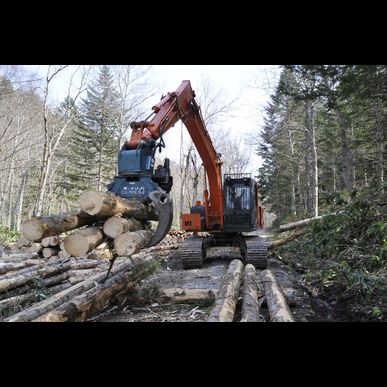 熊本で伐採作業を請け負う会社は車両系建設機械の経験者を正社員として優遇